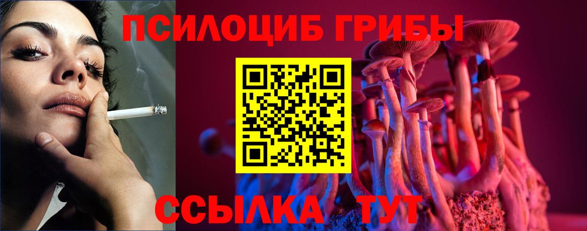 Королёв  Псилоцибиновые грибы Magic Shrooms  Вход с VPN  Галлюциногенные грибы ЛСД 